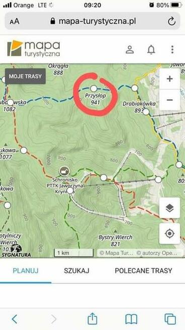 Zaginął pies o imieniu Rambo