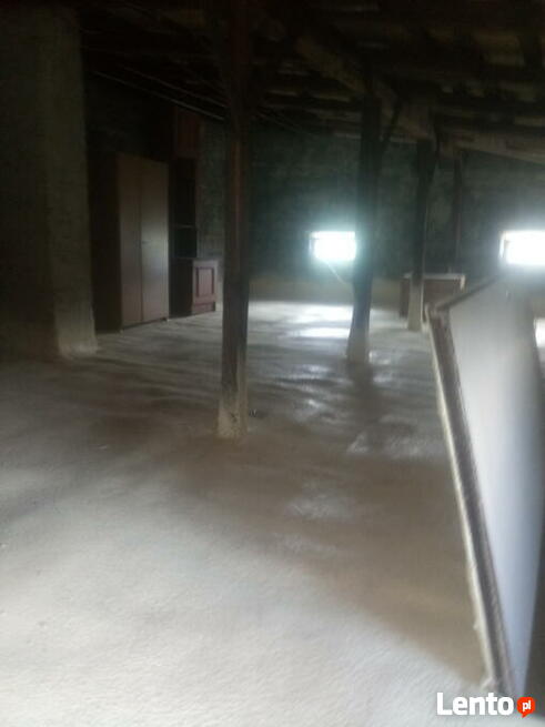 Ocieplenia pianą pur