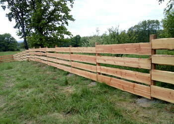 DAGLEZJA , MODRZEW deski tarasowe , nie Modrzew Syberyjski