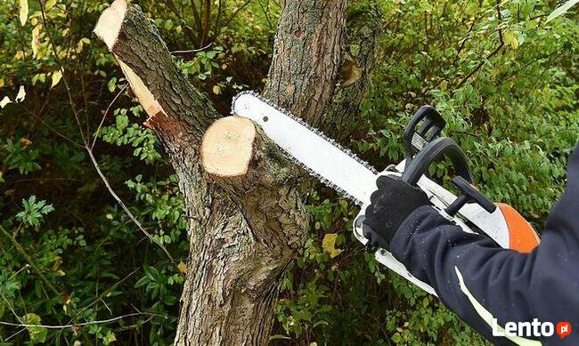 Sprzątanie działek Lublin Wycinka drzew Rozbiórka budynków