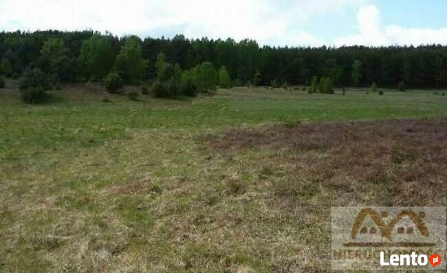 Działka siedliskowa Skoszewo gm. Wolin