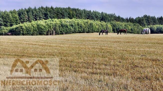 Działka siedliskowa Miechęcino gm. Dygowo, Miechęcino