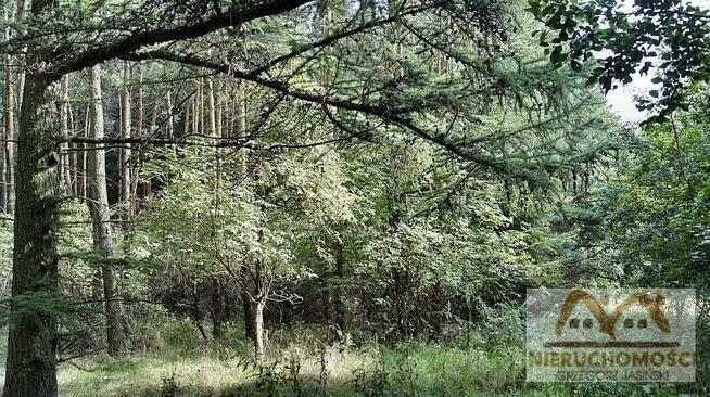 Działka siedliskowa Miechęcino gm. Dygowo, Miechęcino