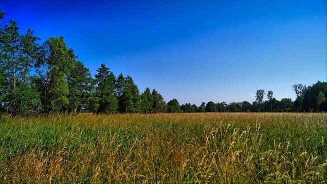 Działka Łokciowe gm. Smołdzino