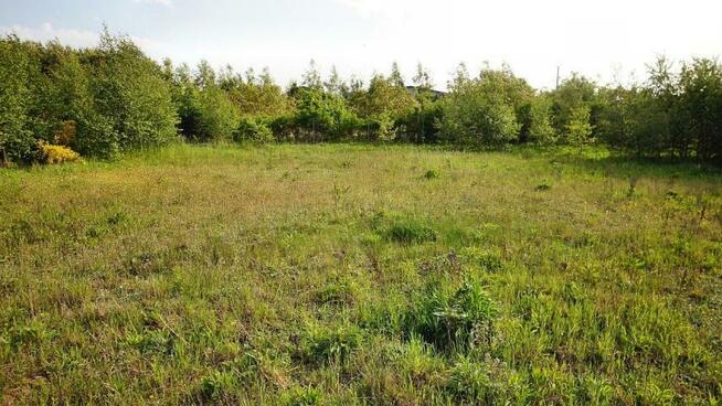 Działka budowlana Charzyno gm. Siemyśl