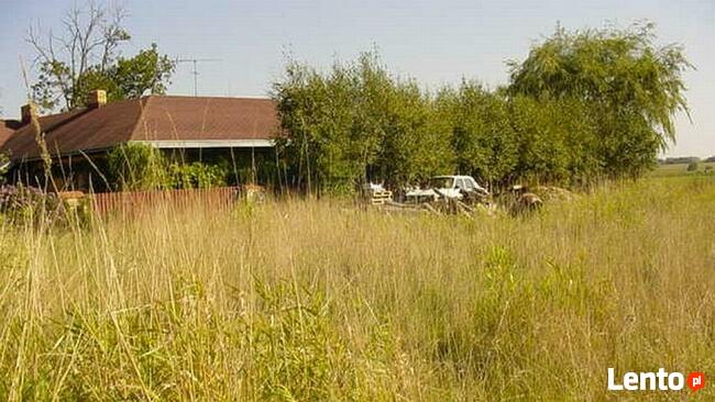 Działka Korzystno gm. Kołobrzeg