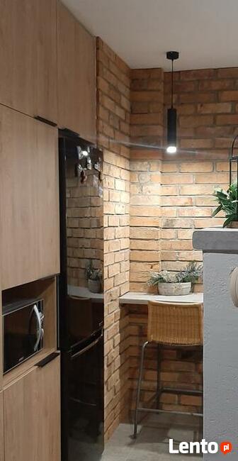 Płytki z cegły cięta cegła formatowana stara cegła lico