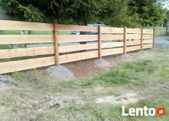 DAGLEZJA , MODRZEW deski tarasowe , nie Modrzew Syberyjski