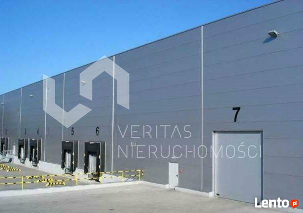 Lokal użytkowy Rybnik