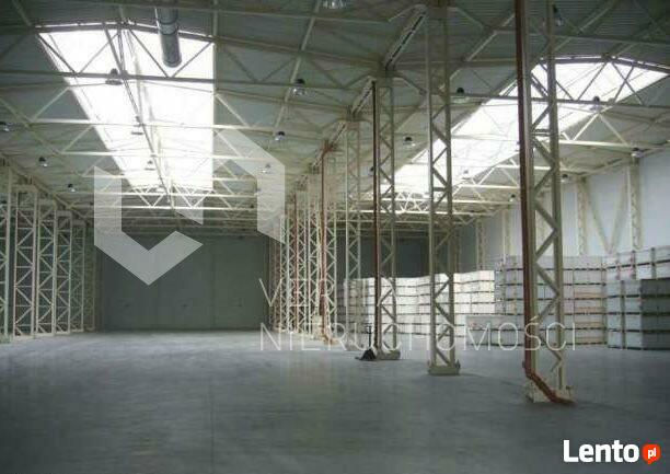 Lokal użytkowy Rybnik