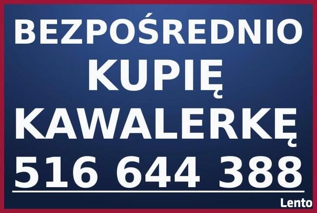 BEZPOŚREDNIO KUPIĘ KAWALERKĘ / TEL 516 644 388 /CAŁY WROCŁAW
