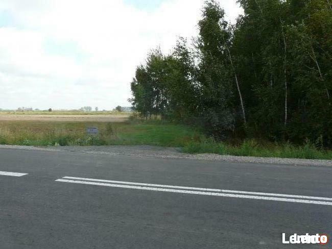 Stefanów-gm Cyców, graniczy z ruinami, niezabudowana.