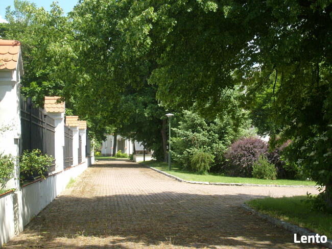 Sprzedam działki budowlane Stara Wieś / Węgrów