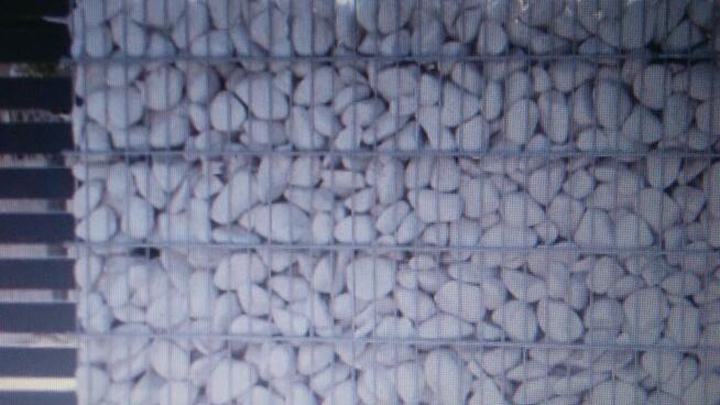 siatka ogrodzeniowa ocynkowana i powlekana Producent Tłuszcz