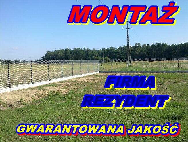 siatka ogrodzeniowa ocynkowana i powlekana Producent Tłuszcz