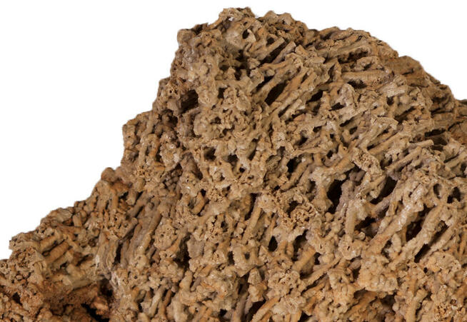 Kamień ogrodowy Spagetti - morski / Kar-Group Ełk