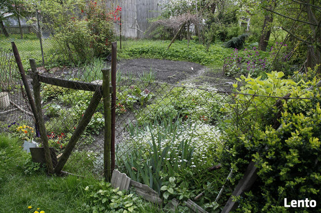 Urokliwe Gospodarstwo z Dużą Działką – Doskonała Lokalizacja