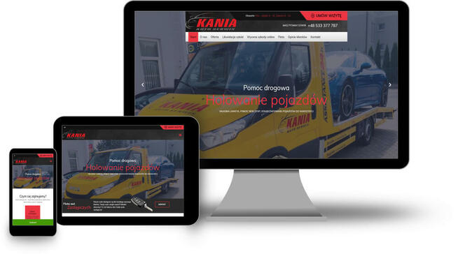 Strony internetowe WordPress szyte na miarę