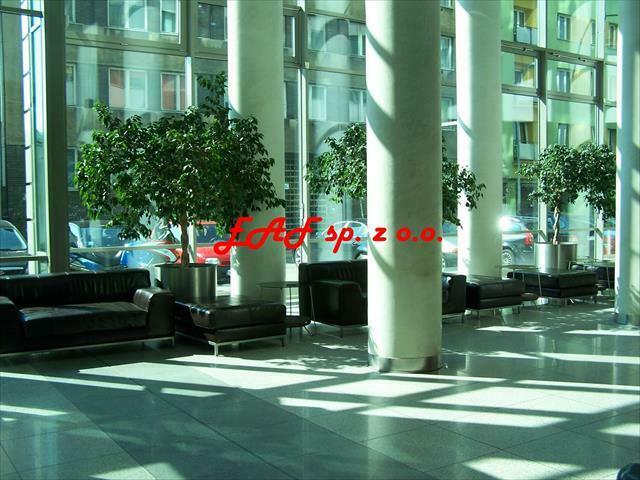 Lokal użytkowy Warszawa Wola, Wola, Elektoralna