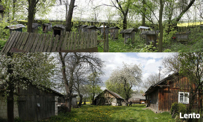 Urokliwe Gospodarstwo z Dużą Działką – Doskonała Lokalizacja