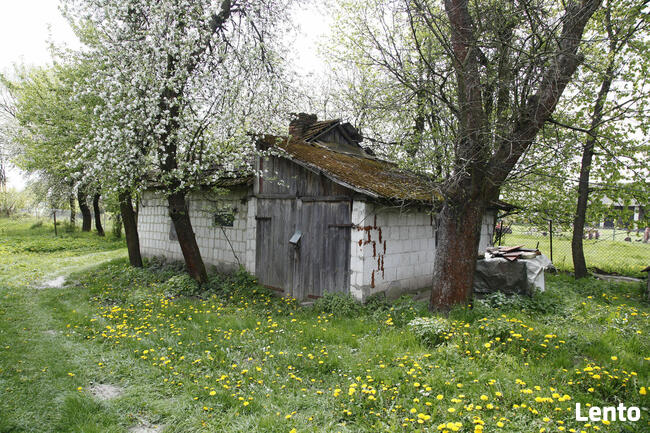 Urokliwe Gospodarstwo z Dużą Działką – Doskonała Lokalizacja