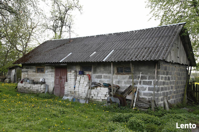 Urokliwe Gospodarstwo z Dużą Działką – Doskonała Lokalizacja