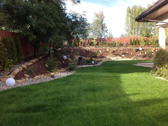 Murki dekoracyjne w ogrodzie