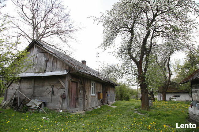 Urokliwe Gospodarstwo z Dużą Działką – Doskonała Lokalizacja