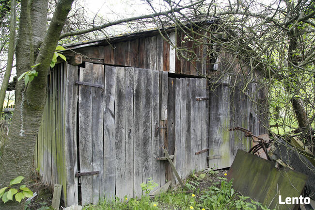 Urokliwe Gospodarstwo z Dużą Działką – Doskonała Lokalizacja