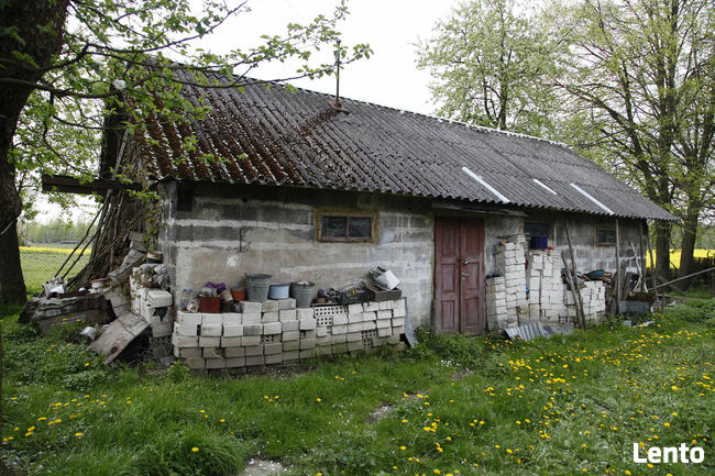 Urokliwe Gospodarstwo z Dużą Działką – Doskonała Lokalizacja