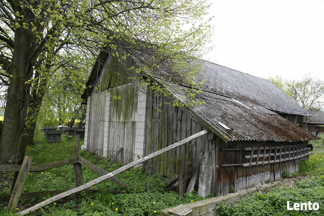 Urokliwe Gospodarstwo z Dużą Działką – Doskonała Lokalizacja
