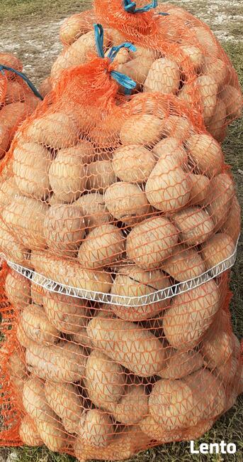 Ziemniaki Jadalne Odmiana Irga, Ibis, Amanda, Lilly, Gala,