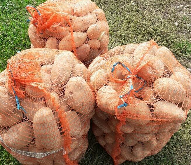 Ziemniaki Jadalne Odmiana Irga, Ibis, Amanda, Lilly, Gala,