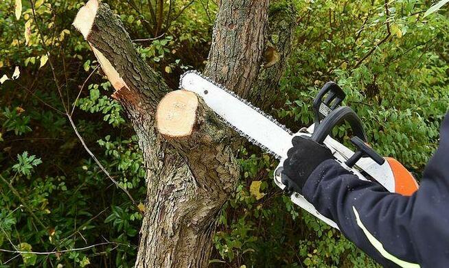 Wycinka drzew Lublin Sprzątanie działek Rozbiórka budynków