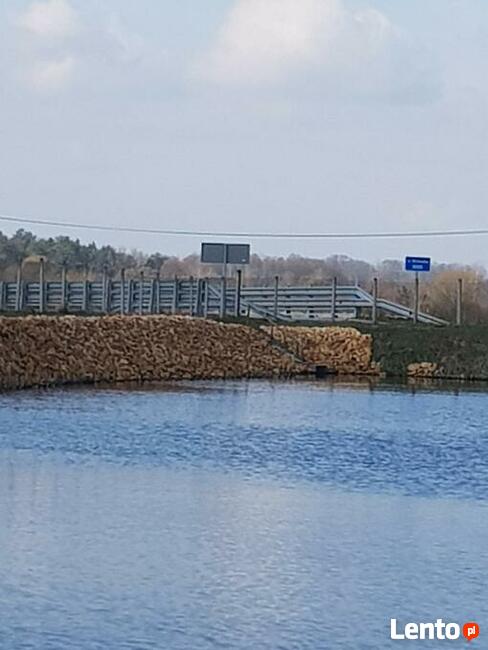 skarpy stawu rybnego