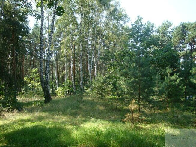 Działka budowlana Warszawa Wesoła