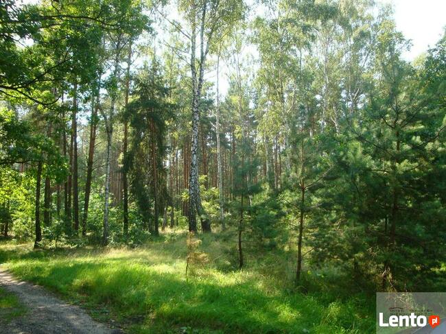 Działka budowlana Warszawa Wesoła