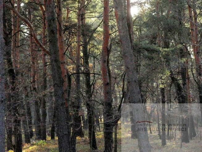 Działka budowlana Warszawa Wesoła