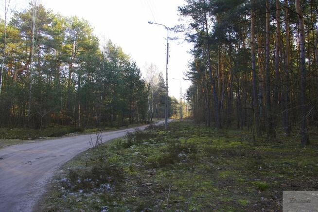 Działka leśna Warszawa Wesoła