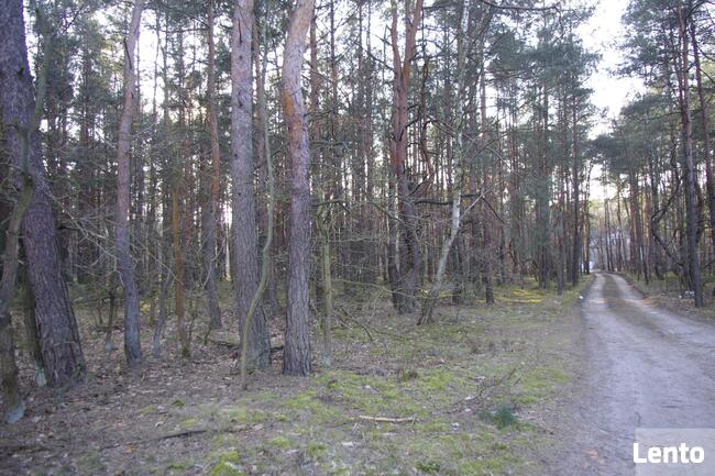 Działka leśna Warszawa Wesoła