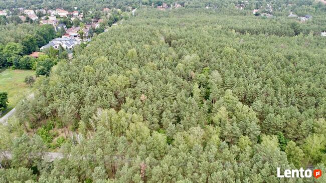 Działka leśna Warszawa Wesoła