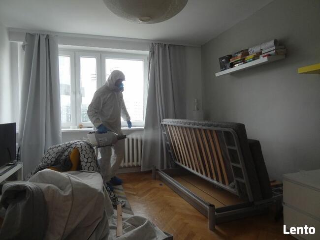 Dezynsekcja likwidacja os, szerszeni, karaluchy, prusaki