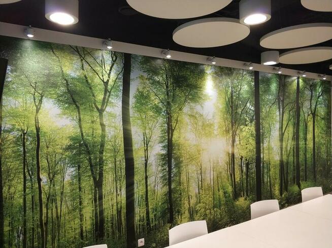 Tapeta fototapeta, druk na wymiar + montaż