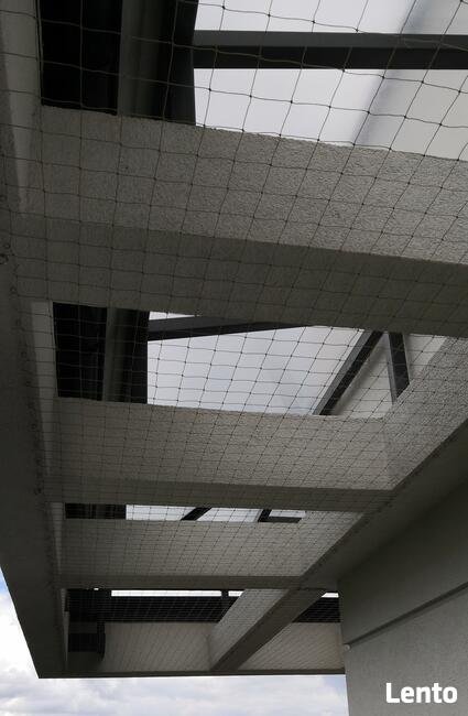 Sprzątanie balkonów po ptakach, montaż siatki balkonowej.