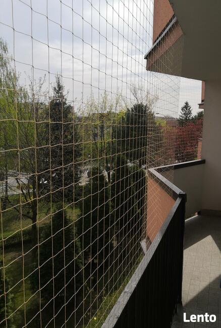 Sprzątanie balkonów po ptakach, montaż siatki balkonowej.