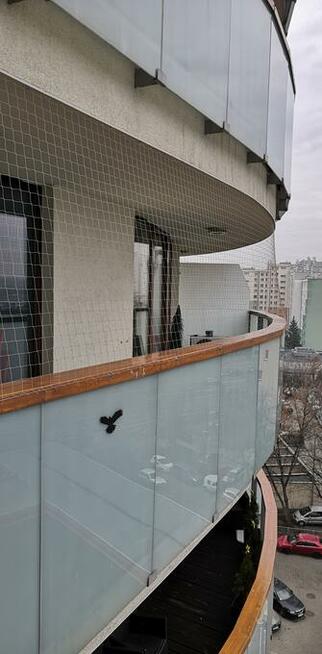 Sprzątanie balkonów po ptakach, montaż siatki balkonowej.