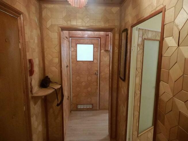 Wynajme Mieszkanie 2 pokoje 38m2 swiezo Po remoncie. Wysoki