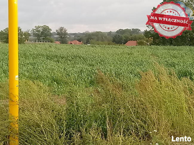 Działka na sprzedaż w Choszcznie