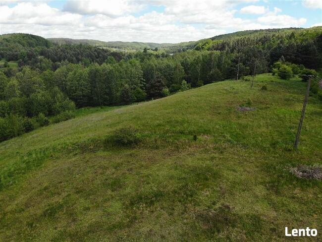 Działka budowlana Klonowo Dolne gm. Przywidz, xxx