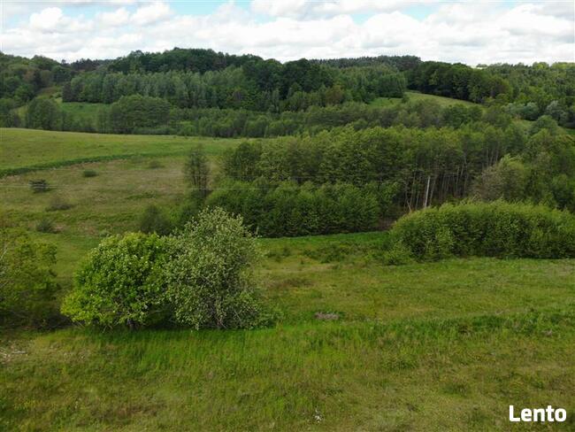 Działka budowlana Klonowo Dolne gm. Przywidz, xxx